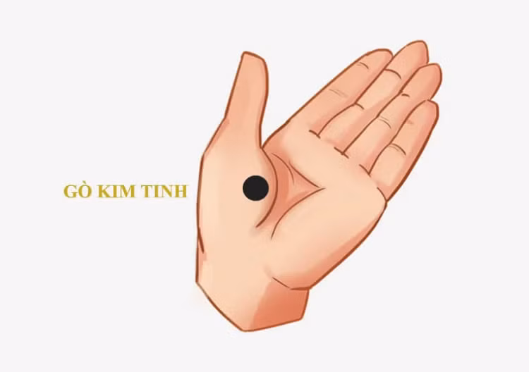 Ban tay co 1 trong 5 dac diem nay, cuoc doi vat va, mai van ngheo