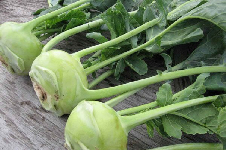 Su hao la “than duoc” mua dong nhung an cach nay them benh-Hinh-2