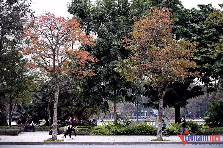 Du bao thoi tiet ngay 11/5: Ngay nang nong, chieu toi co mua to