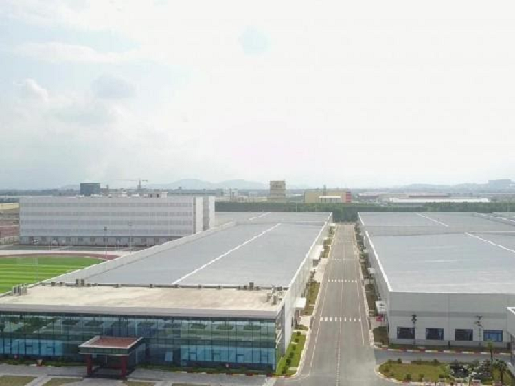 Nu dai gia tung lam cong nhan, duoc CEO Apple tan thuong-Hinh-3