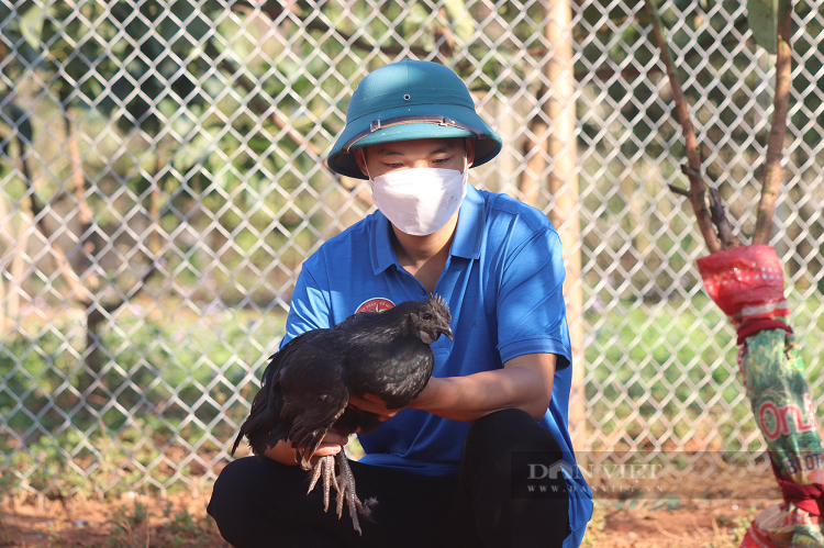 O vung dat gian kho, nuoi con den nhem 3 thang thu 30 trieu dong