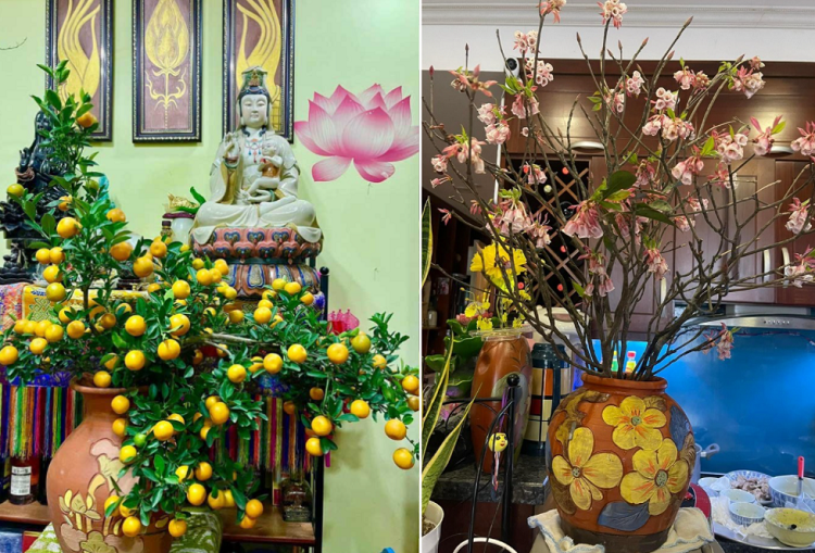 Can canh nha rieng cua vo chong 'Tao mang' Tu Long-Hinh-8