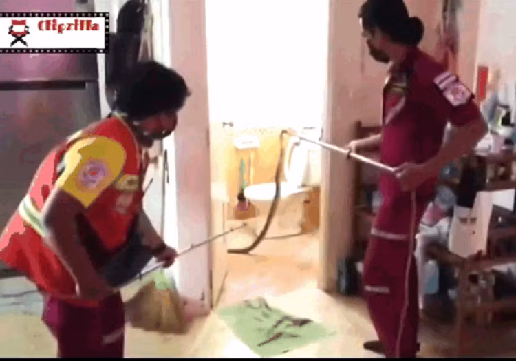 Clip: Dang hoc online, be gai phat hien ran ho mang bo vao nha