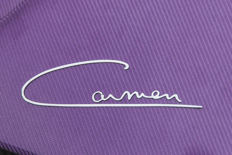 Chữ viết được sử dụng trên đuôi xe được thiết kế để bắt chước chữ ký của bà ấy.