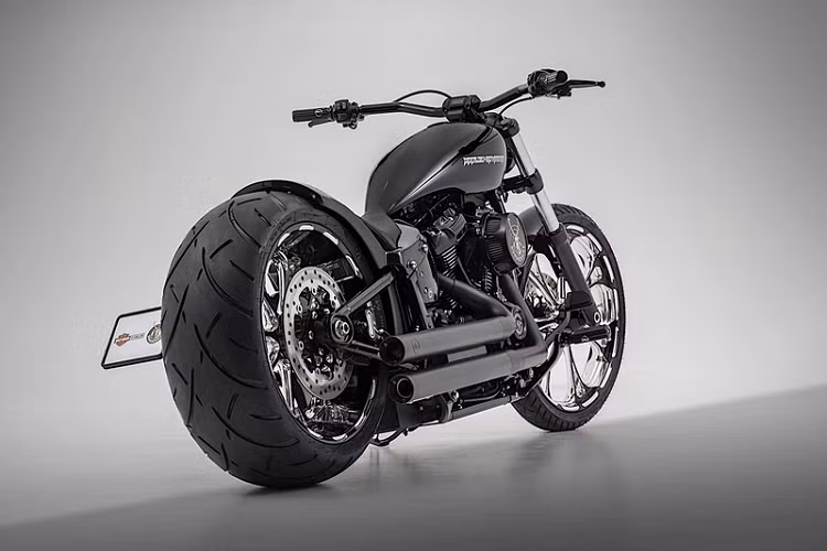 Vẻ ngoài "giản dị" của chiếc xe hai bánh có thể khiến nhiều người nghĩ rằng bản độ này không hề đắt.