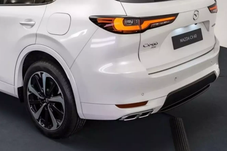 Mazda CX-60 2023 là mẫu xe đầu tiên trong 4 mẫu xe gầm cao của Mazda sử dụng kiến trúc cỡ lớn (Large Architecture) mới của Mazda. Các mẫu xe này đều hướng đến các thị trường khác nhau, trong đó Mazda CX-60 2 hàng ghế và CX-80 3 hàng ghế nhắm đến các thị trường như Nhật Bản và châu Âu, trong khi hai mẫu xe Mazda CX-70 và CX-90 mới sẽ nhắm đến thị trường Bắc Mỹ.