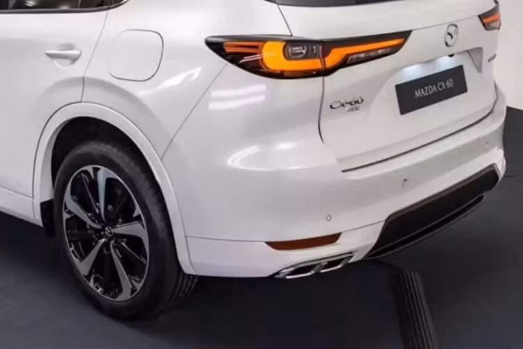 Mazda CX-60 2023 là mẫu xe đầu tiên trong 4 mẫu xe gầm cao của Mazda sử dụng kiến trúc cỡ lớn (Large Architecture) mới của Mazda. Các mẫu xe này đều hướng đến các thị trường khác nhau, trong đó Mazda CX-60 2 hàng ghế và CX-80 3 hàng ghế nhắm đến các thị trường như Nhật Bản và châu Âu, trong khi hai mẫu xe Mazda CX-70 và CX-90 mới sẽ nhắm đến thị trường Bắc Mỹ.