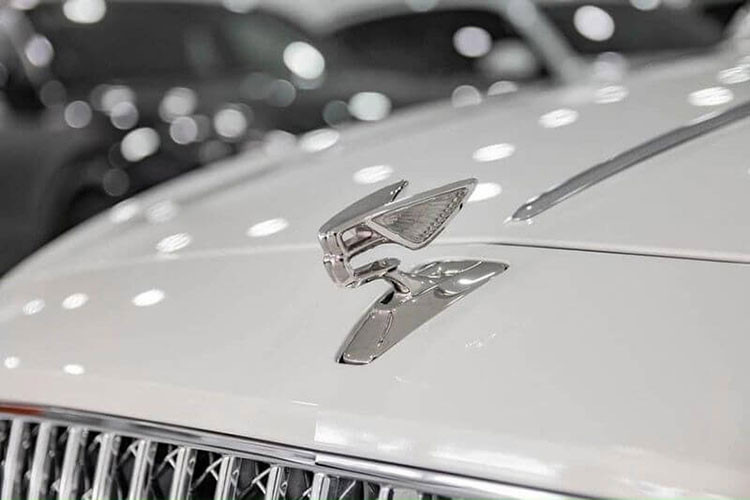 Bentley Flying Spur V8 tại Đắk Lắk của cô gái trẻ sở hữu ngoại thất màu trắng, đi kèm nhiều chi tiết mạ crôm sáng bóng rải "từ đầu tới chân". Phần đầu xe nổi bật với cụm lưới tản nhiệt lớn với nhiều thanh kim loại đặt dọc sang chảnh kết hợp với hệ thống đèn chiếu sáng LED ma trận độc đáo. Trong khi ở phía sau, cụm đèn hậu LED có đồ hoạ chữ B đặc trưng.