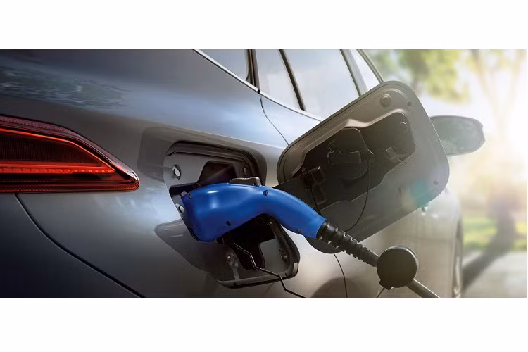 Động cơ này kết hợp cùng hộp số e-CVT cùng mô-tơ điện có công suất tối đa 180 mã lực và mô-men xoắn cực đại 270 Nm. Với phiên bản dẫn động 4 bánh E-Four, Toyota Venza PHEV 2023 còn có thêm mô-tơ điện trên cầu sau. Mô-tơ này có công suất tối đa 54 mã lực và mô-men xoắn cực đại 121 Nm. Ngoài ra, Toyota Venza PHEV 2023 mới còn được trang bị cụm pin lithium-ion nằm bên dưới sàn xe và có dung lượng 18,1 kWh.