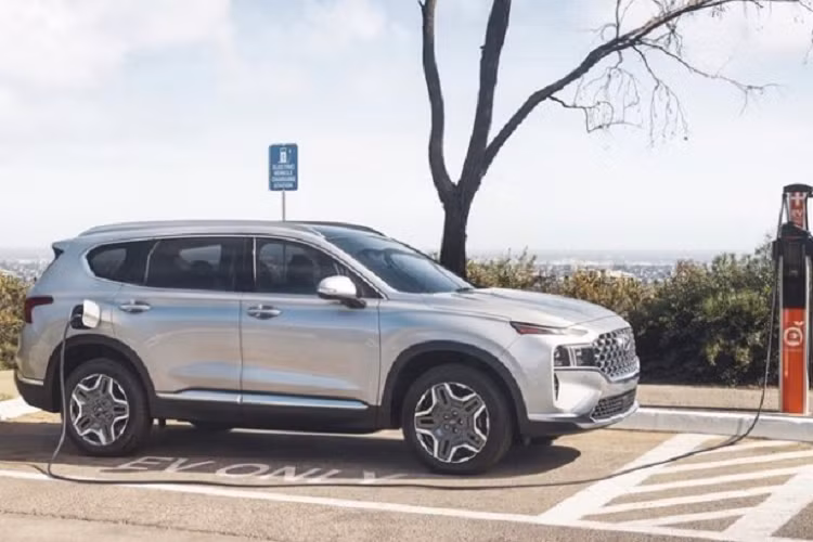 Tại Việt Nam, Hyundai SantaFe hiện được phân phối với 4 phiên bản, giá bán dao động từ 1,055 tỷ đồng đến 1,375 tỷ đồng. Hyundai Santa Fe hybrid ra mắt tại Việt Nam, phân khúc xe “xanh” sẽ trở nên sôi động hơn.