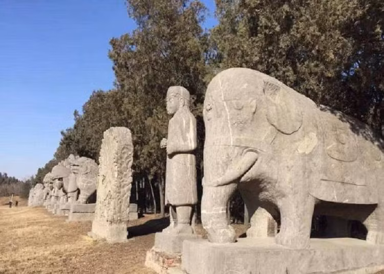 Sau cac cuoc khai quat, xac chet nguoi co dai da di dau?-Hinh-3