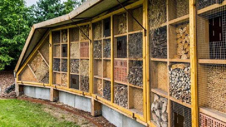 Khanh thanh “khach san con trung” lon nhat o Bi