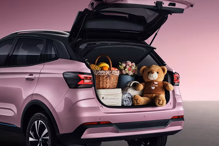 Tại Thái Lan, giá xe MG VS HEV dự kiến không quá 1 triệu baht. Do được định vị nằm giữa ZS và HS, giá xe MG VS HEV 2022 sẽ cao hơn mức 799.000 baht (tương đương 512,5 triệu đồng) của MG ZS bản cao nhất và thấp hơn mức 939.000 baht (tương đương 602,2 triệu đồng) của MG HS 1.5 Turbo.