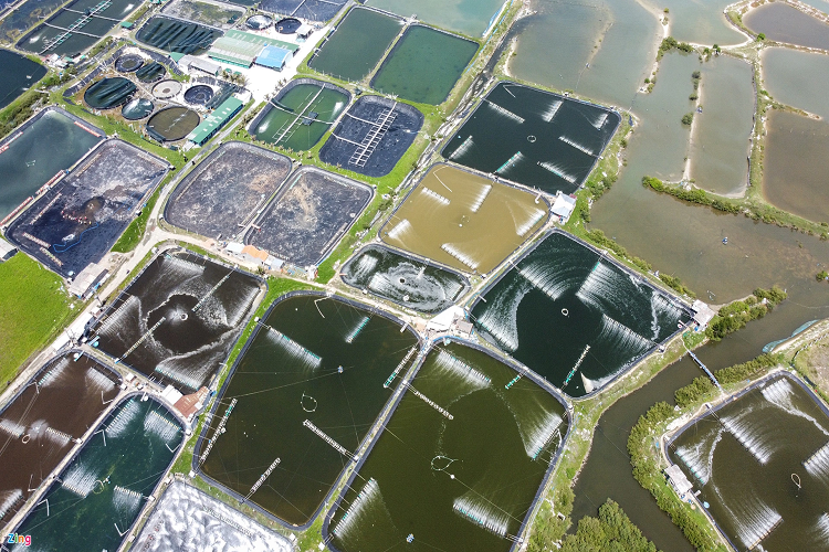 Ngoài hệ sinh thái rừng ngập mặn, rừng bần, hiện có hàng trăm héc-ta mặt nước hai bên tỉnh lộ 651 được người dân tạo đìa nuôi thủy sản. Nhìn từ trên cao, các đìa nuôi thủy sản (chủ yếu là tôm thẻ chân trắng) như một bức tranh thủy mặc tuyệt đẹp, du khách có thể trực tiếp tham quan, chụp ảnh check-in. 