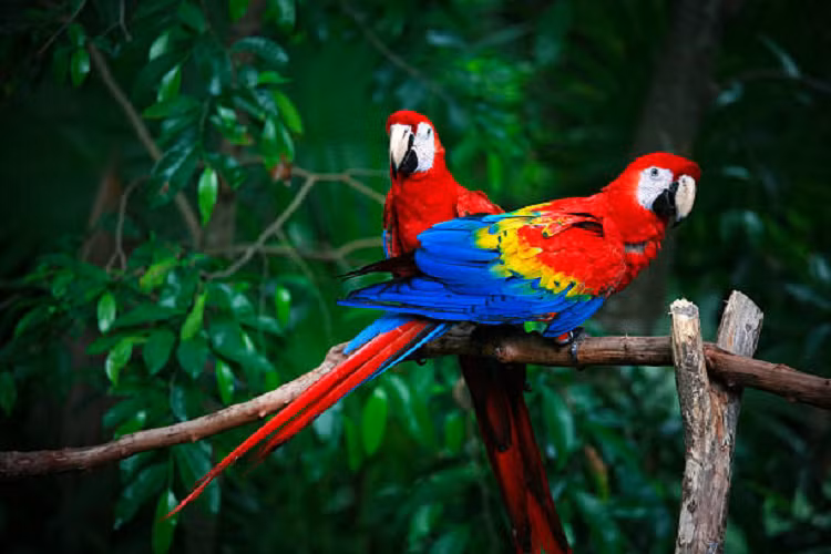 Ai sinh ngay Am lich nay khong thieu tai loc, su nghiep thanh cong