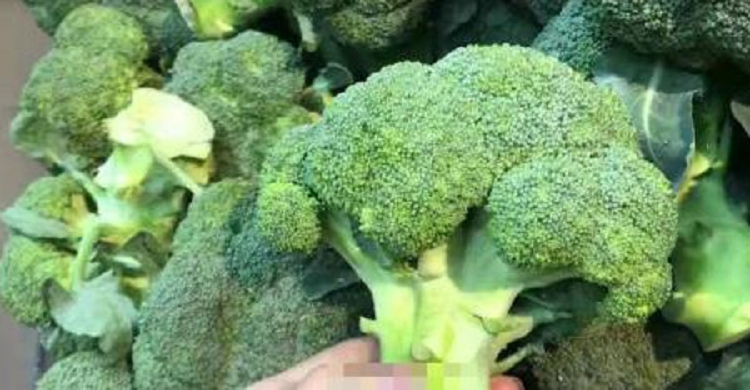 4 loại rau có hàm lượng canxi cao hơn cả sữa, mua về nấu cho trẻ ăn, xương chắc khỏe, chiều cao vượt trội 4 loai rau co ham luong canxi cao hon ca sua, mua ve nau cho tre an, xuong chac khoe, chieu cao vuot troi