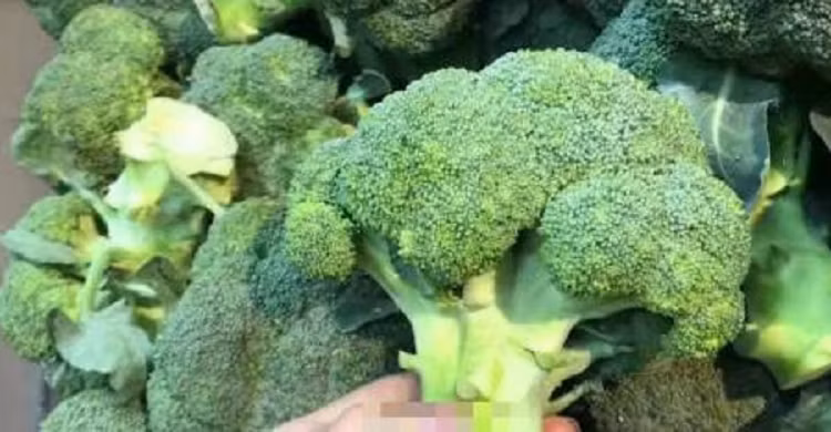 4 loai rau co ham luong canxi cao hon ca sua, mua ve nau cho tre an, xuong chac khoe, chieu cao vuot troi