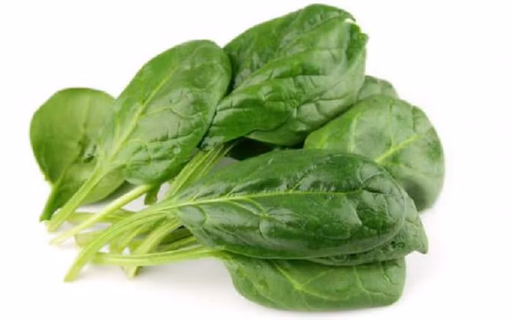 4 loai rau co ham luong canxi cao hon ca sua, mua ve nau cho tre an, xuong chac khoe, chieu cao vuot troi-Hinh-4