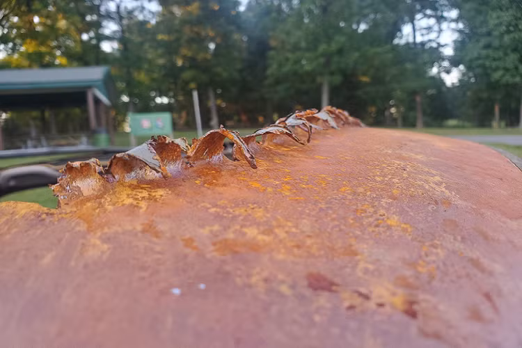 Cuối cùng, chiếc Toyota Camry được lắp biển số không phải biển của nước Mỹ trên cản trước. Hình ảnh chiếc Toyota Camry độc đáo này đã khiến nhiều cư dân mạng cảm thấy vô cùng thích thú.