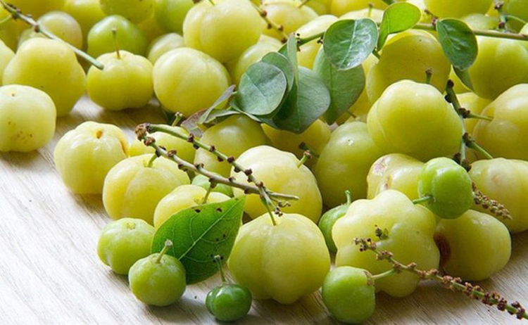 Thu qua dai moc quanh bo rao, chua loet gio la dac san-Hinh-5