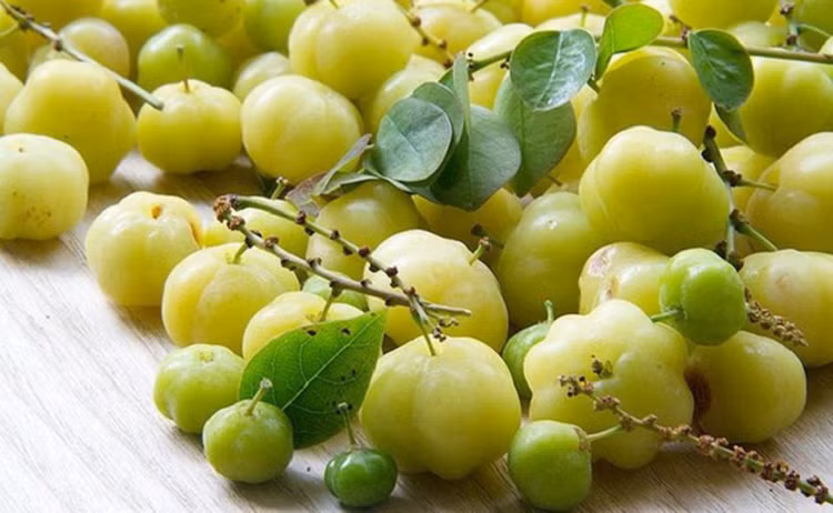 Thu qua dai moc quanh bo rao, chua loet gio la dac san-Hinh-5