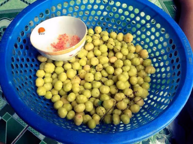 Thu qua dai moc quanh bo rao, chua loet gio la dac san