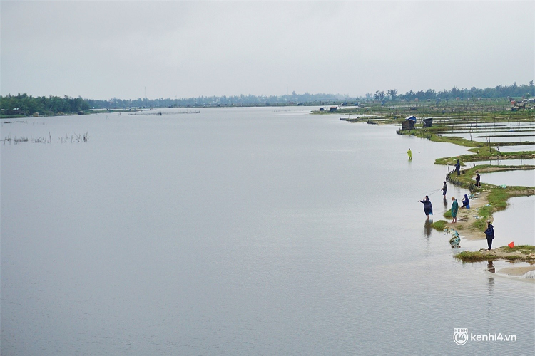 Những ngày sau Tết Nguyên đán 2022, nhiều "cần thủ" ở tỉnh Quảng Nam đã tập trung 2 bên bờ sông Trường Giang để săn loài cá cá vược (cá sặc, cá chẽm) thuộc “hàng khủng”. 