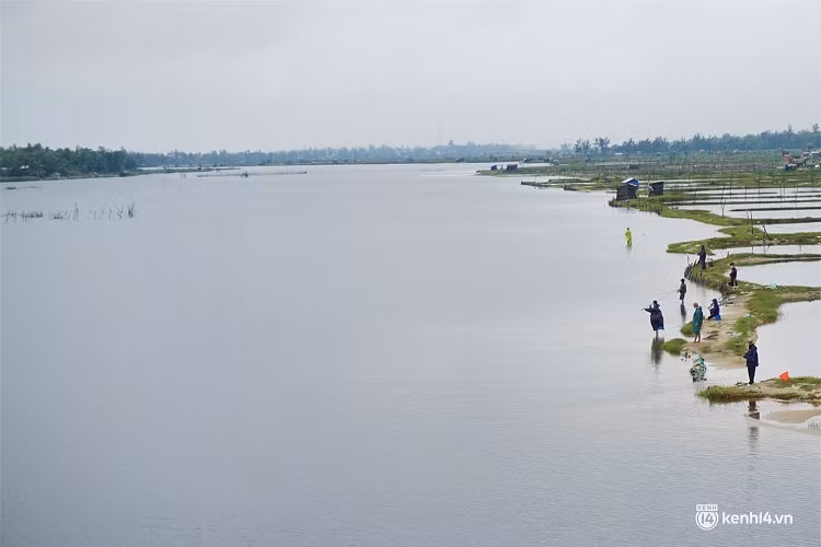 Những ngày sau Tết Nguyên đán 2022, nhiều "cần thủ" ở tỉnh Quảng Nam đã tập trung 2 bên bờ sông Trường Giang để săn loài cá cá vược (cá sặc, cá chẽm) thuộc “hàng khủng”. 