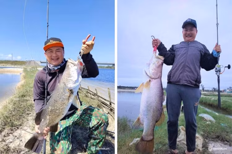 Vừa câu được 1 con cá vược khủng dài hơn một mét, thân nơi rộng nhất 40 cm, anh Lê Đình Thông (42 tuổi, trú TP. Tam Kỳ, Quảng Nam) cho biết, do kích thước lớn nên khi mắc câu cá vùng vẫy rất mạnh, nhiều lúc nhảy lên khỏi mặt nước nên mất 20 phút mới kéo được vào bờ. 