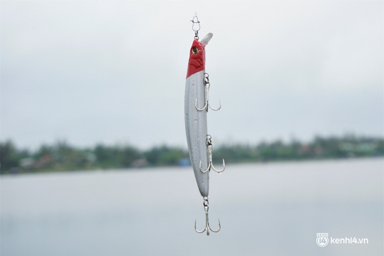 Cá vược là loài cá dữ nên cần thủ thường sử dụng loại hình câu rê với mồi giả, trong đó phần đầu có màu sắc nổi bật như đỏ, vàng… giúp "thủy quái" dễ nhận biết con mồi hơn. 