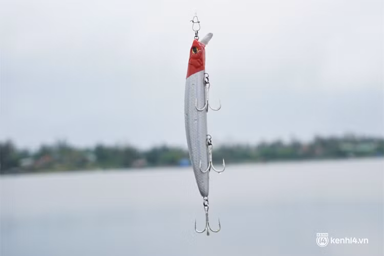 Cá vược là loài cá dữ nên cần thủ thường sử dụng loại hình câu rê với mồi giả, trong đó phần đầu có màu sắc nổi bật như đỏ, vàng… giúp "thủy quái" dễ nhận biết con mồi hơn. 