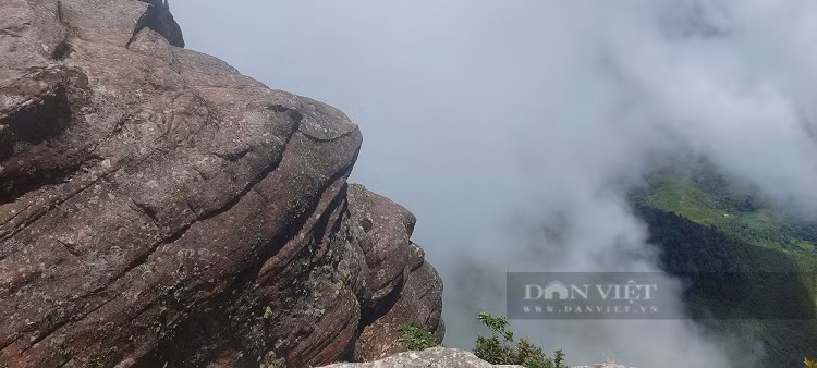 Kham pha loai ong ti hon lam to o khe da chan nui Pha Luong-Hinh-2