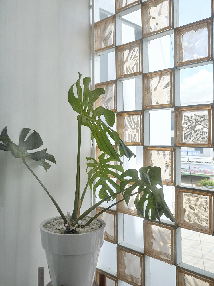 Ngôi nhà có mặt tiền chỉ rộng 3m nhưng vẫn đủ công năng - Hình 13 Ngoi nha co mat tien chi rong 3m nhung van du cong nang-Hinh-13