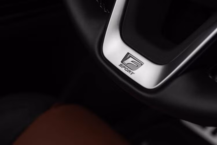 Một trang bị tiêu chuẩn khác là những tấm che màn hình giải trí ở hàng ghế phía sau. Bên cạnh đó, phiên bản F SPORT Handling của LX 600 có thêm một lựa chọn màu sơn mới là màu xanh lá ngọc trai Nori Green Pearl. Bản Ultra Luxury cao cấp thì nhận được gỗ ốp nội thất Takanoha và các thành phần phối màu nâu Sunflavre làm trang bị tiêu chuẩn.