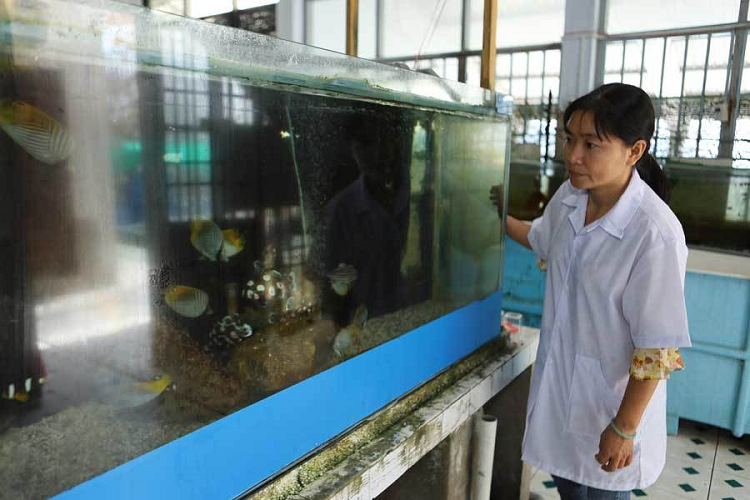 Bao mau o Vien Hai duong hoc ke phut thot tim do de cho ca map