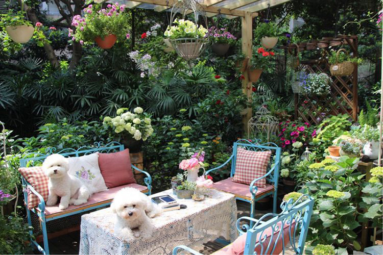 Nói về những loài cây có trong khu vườn của mình, chị Linh chẳng ngại thử sức với tất cả các loài cây miễn sao chúng có thể phát triển tốt bên trong khu vườn của mình. Đặc biệt, chị Linh trồng khá nhiều cây cọ cảnh xung quanh khu vực ngồi nghỉ để tạo một nền xanh mướt quanh năm tại đây. Bất cứ lúc nào nhìn thấy sắc xanh của những cây cọ bên trong khu vườn, chị Linh cũng cảm thấy như đang được hít thở bầu không khí trong lành nhất thế gian. 