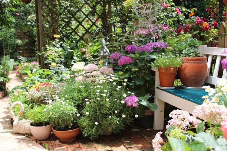 Với chị Linh mà nói thì không có một khu vườn nào giống hệt nhau trên thế giới này. Mỗi khu vườn lại khác nhau bởi vì không có cây và hoa nào giống hệt nhau cả. Vẻ đẹp của mỗi khu vườn là công sức và tâm tư của người làm ra nó, thế nên mọi khu vườn trên đời này đều là "độc nhất vô nhị".