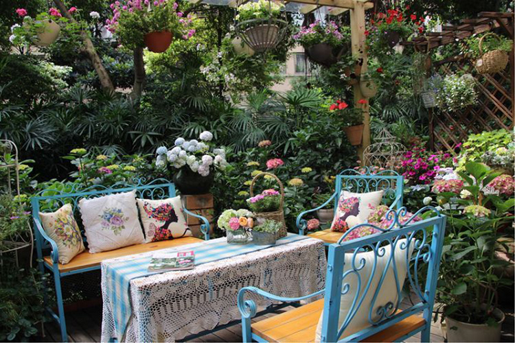 Khu vườn của chị Linh cũng có không ít loài hoa khác nhau. Vẻ đẹp mong manh và rực rỡ của loài hoa Clematis khiến chị Linh yêu thích ngay từ cái nhìn đầu tiên. Chị nghĩ rằng khu vườn của mình sẽ trông thật tuyệt vời nếu được tô điểm hình dạng độc đáo và màu sắc rực rỡ của loài hoa này. Sự thật chứng minh rằng suy nghĩ của chị Linh không sai chút nào.