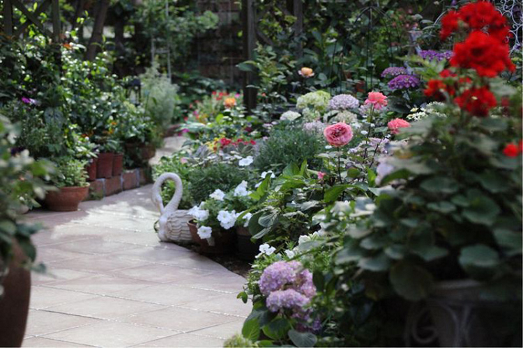 Chị Linh thiết kế khu vườn với một lối đi nhỏ uốn lượn ở giữa và trồng cây hai bên đường. Lối đi được lát gạch đỏ để tiện đi lại chăm sóc các loại cây có trong vườn. 