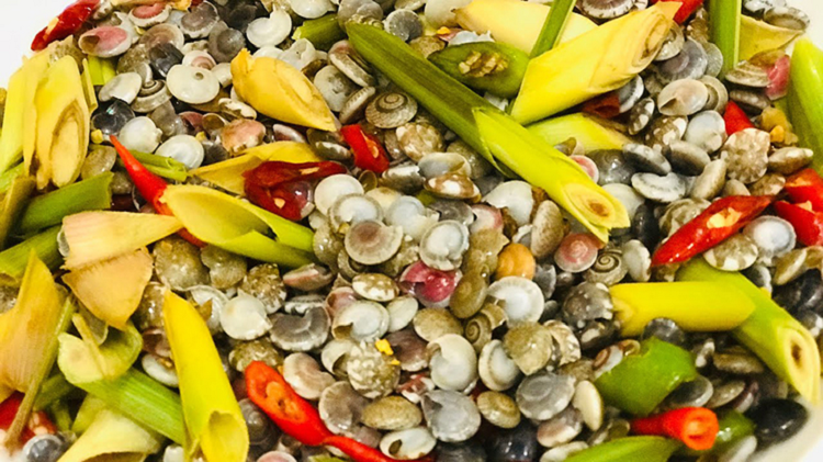 Ngoài ra nghề cào ốc còn phụ thuộc vào thời tiết, nếu trời nắng sóng biển êm thì cào được nhiều hơn, còn ngày biển động thì sản lượng sẽ thấp hơn 