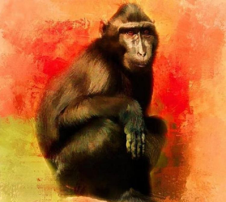 Tuổi Thân. Người tuổi Thân vốn thông minh, tài giỏi và đặc biệt có chí cầu tiến.