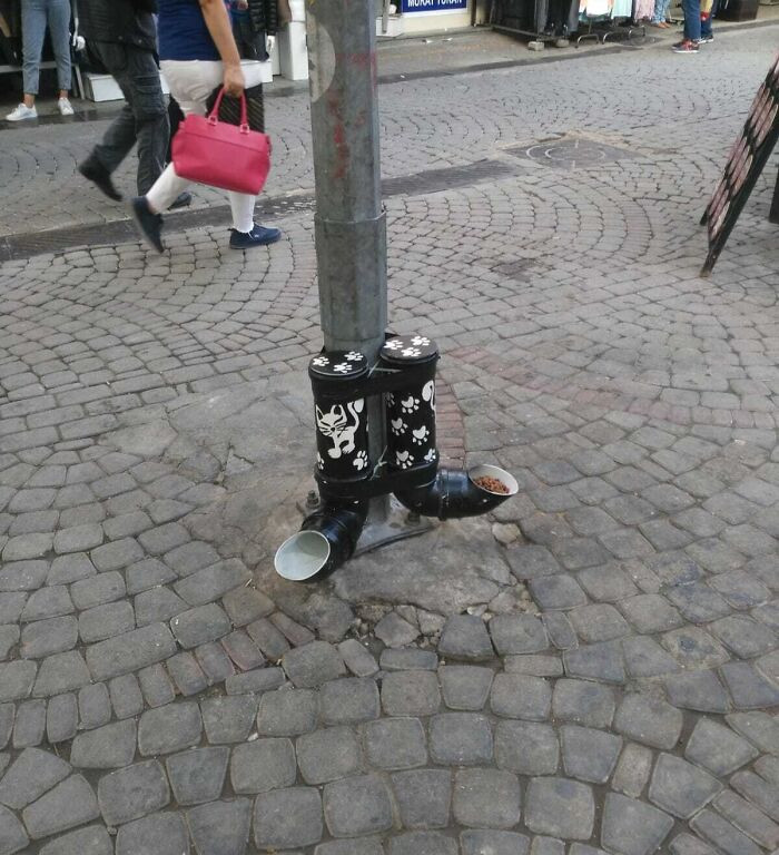 Máy phân phối thức ăn cho mèo ở nơi công cộng.