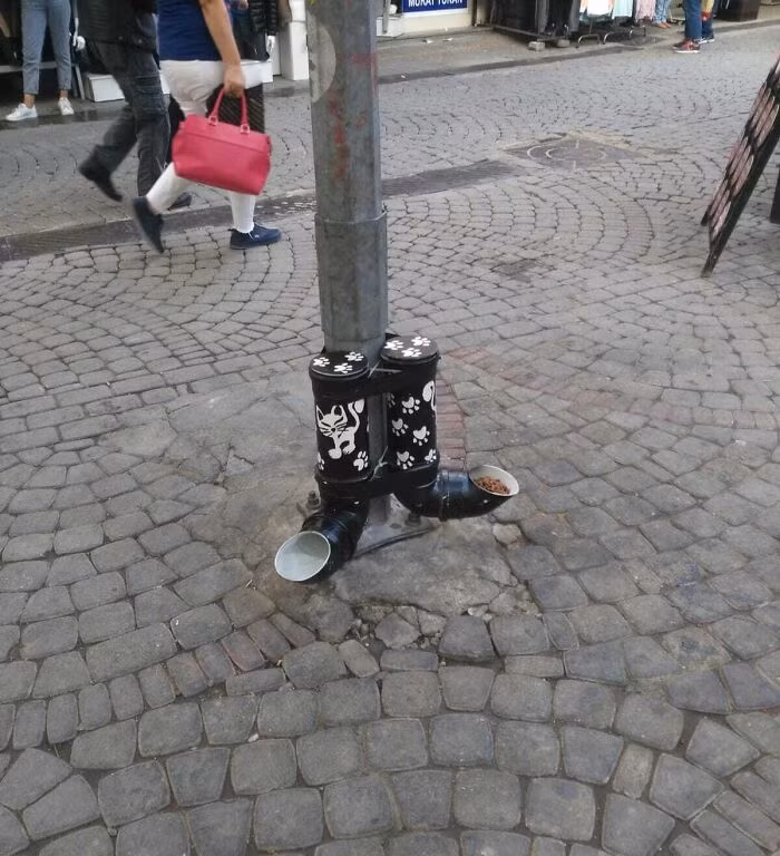 Máy phân phối thức ăn cho mèo ở nơi công cộng.