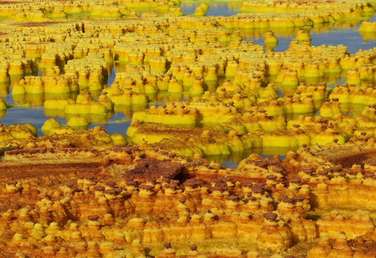 Gần núi lửa Dallol.