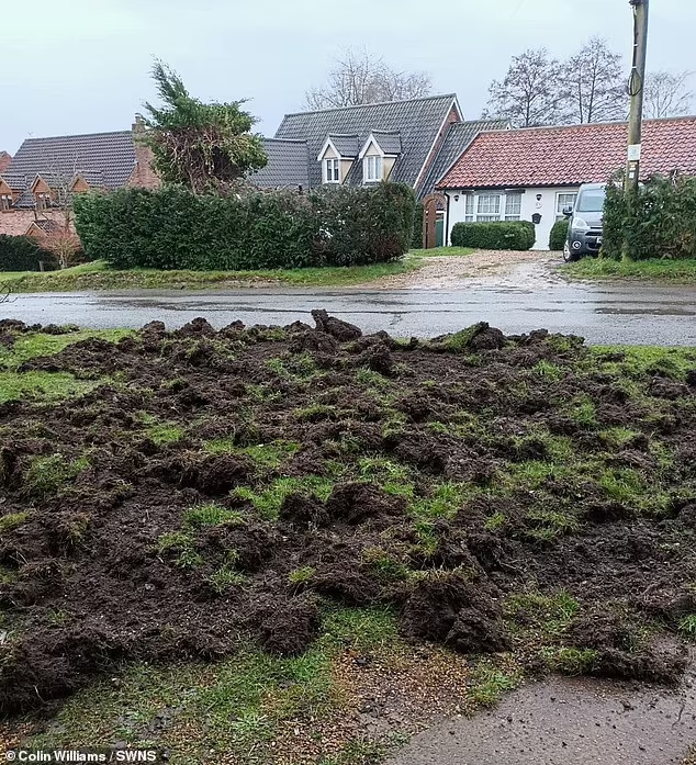 "Chúng tôi chỉ muốn điều này dừng lại", ông Williams nói.