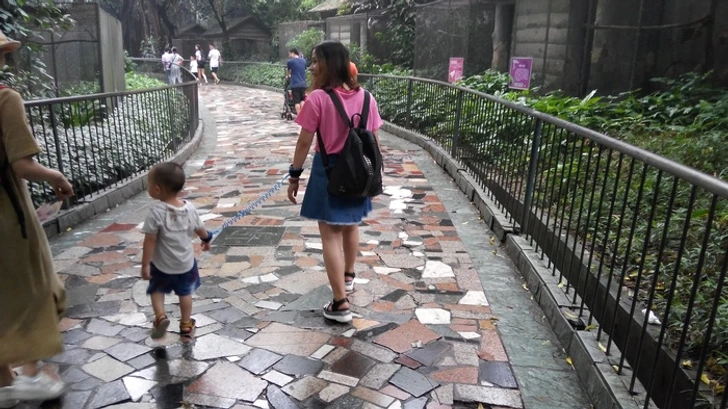 Bạn có thể thấy các phụ huynh "dắt" con đi trên đường phố như thế này ở Trung Quốc.