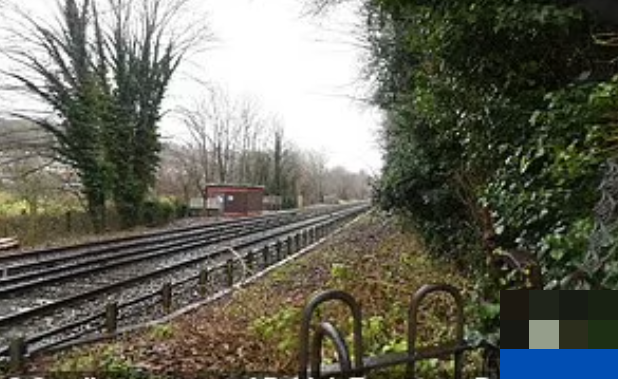 Em nho bi dam tu vong khi bang qua duong sat