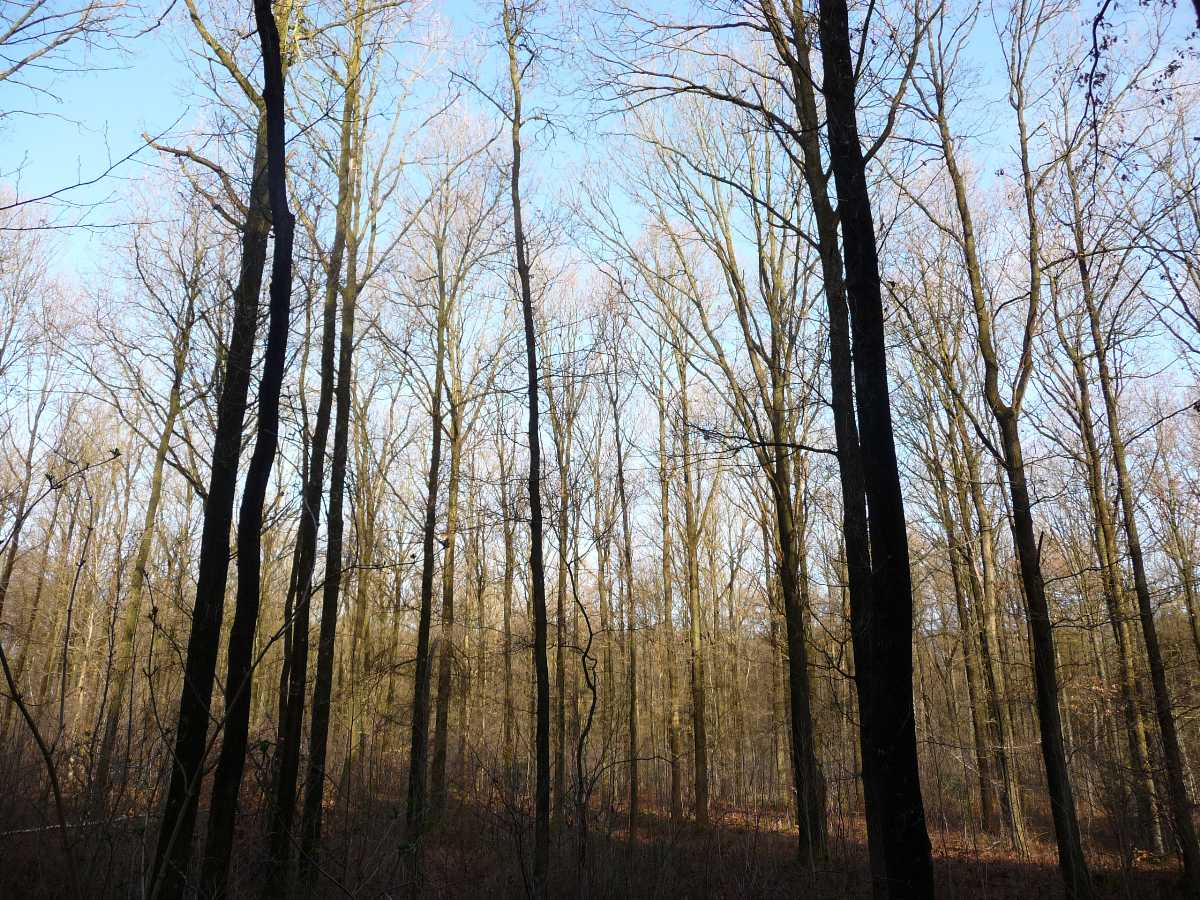 Su that kinh ngac ve nuoc Duc co the ban chua biet-Hinh-8