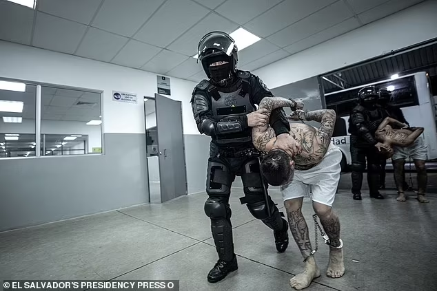 Người phát ngôn Bộ Ngoại giao Mỹ Tammy Bruce đã đồng ý tiếp nhận các thành viên băng đảng MS-13 người Salvador nhập cảnh trái phép vào Mỹ. Những người này nằm trong kế hoạch trục xuất hàng loạt của Tổng thống Mỹ Donald Trump.