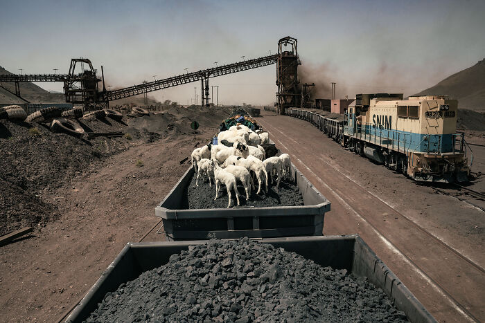 Tàu khởi hành từ mỏ Zouerat, bắt đầu hành trình kéo dài 20 giờ về cảng Nouadhibou.